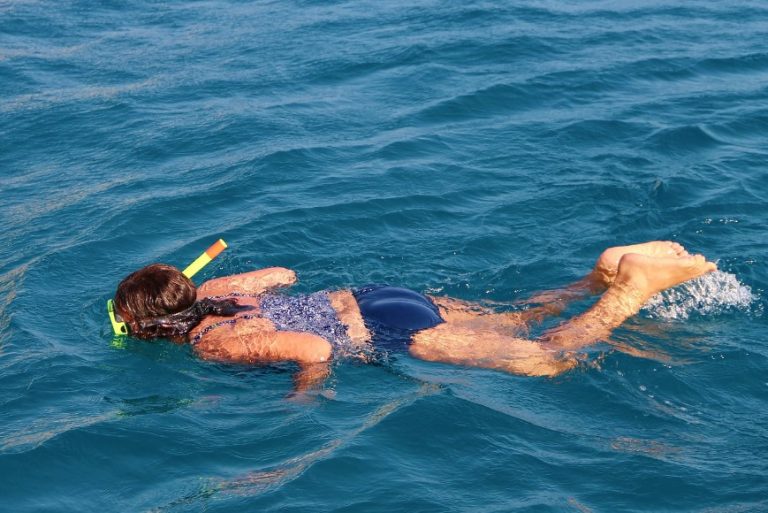 Lee más sobre el artículo ¿Qué es el snorkel?
